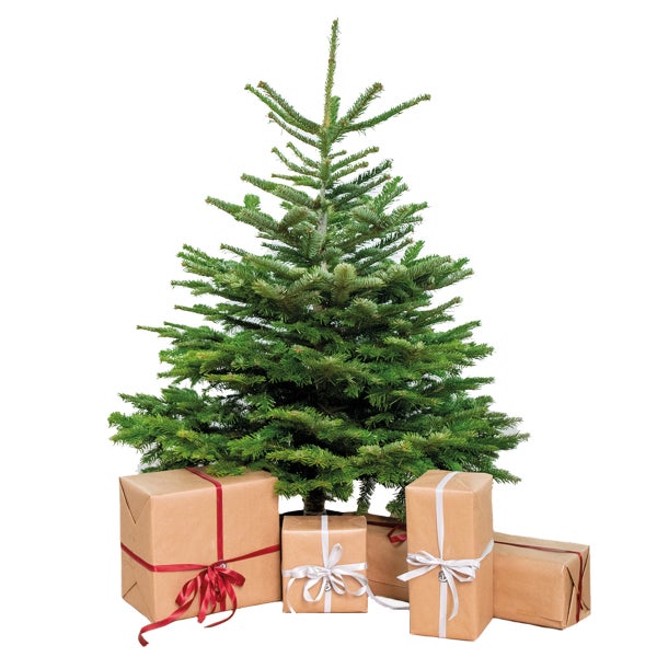 Weihnachtsbaum mit Geschenkpaketen