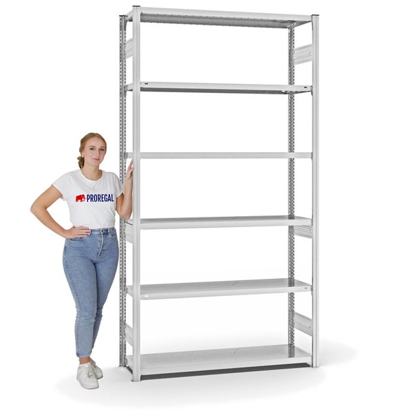 PROREGAL Fachbodenregal Stecksystem T-Profil Heavy-Duty Grundregal HxBxT 250 x 130 x 40 cm 6 Ebenen Fachlast 315 kg Beidseitig Nutzbar Lichtgrau