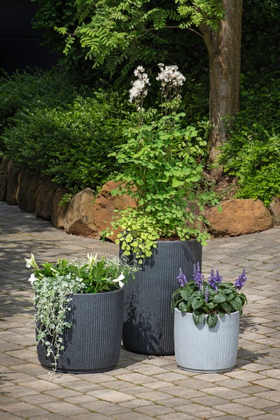 Drei moderne Pflanzgefäße mit Rillenstruktur in verschiedenen Größen bepflanzt mit Blumen auf einer gepflasterten Gartenfläche.