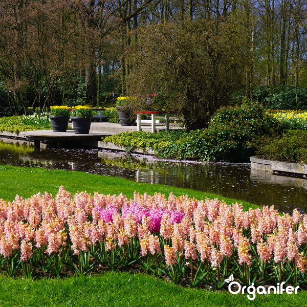 Gartenlandschaft mit Blumenbeet, Teich und Brücke