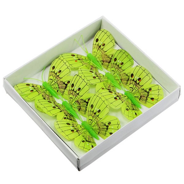 Dekorative Schmetterlinge im Karton