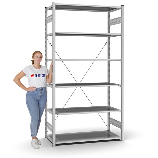 PROREGAL Profi Lagerregal Stecksystem T-Profil Grundregal HxBxT 250 x 130 x 60 cm Fachlast 110 kg Verzinkt