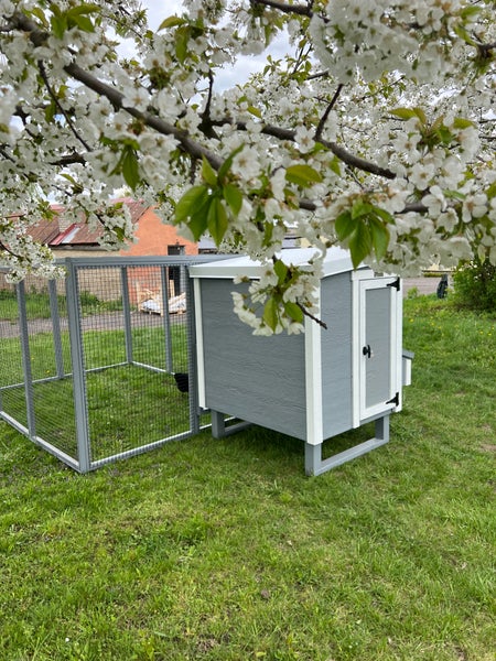 Hühnerauslauf Mitte EZ Chicken Home Grau 5,84m² 208 x 300 x 154 cm hergestellt in EU