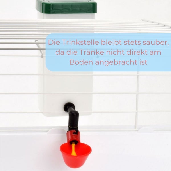 Tränke mit rotem Trinkbecher für Kleintiere