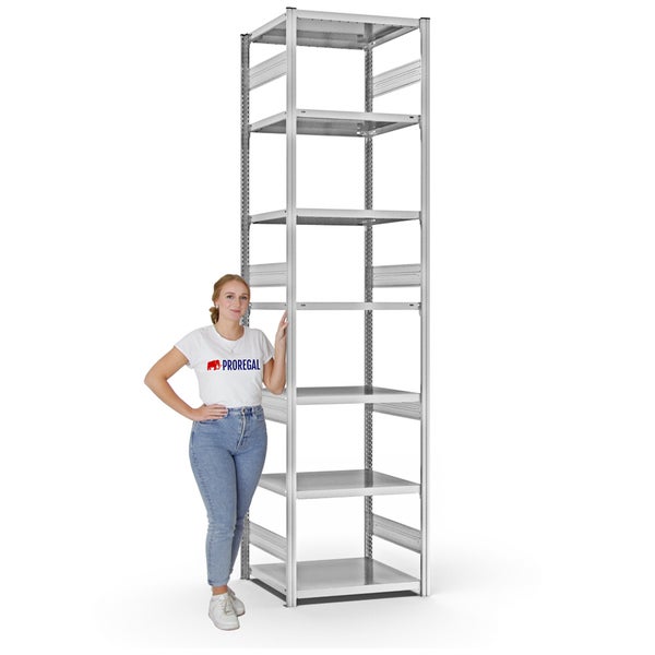 PROREGAL Fachbodenregal Stecksystem T-Profil Heavy-Duty Grundregal HxBxT 300 x 75 x 60 cm 7 Ebenen Fachlast 330 kg Beidseitig Nutzbar Lichtgrau