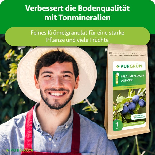 Gärtner neben Purgrün Bio Pflaumenbaum-Dünger, 1 Kilogramm, feines Granulat mit Tonmineralien für kräftige Pflanzen und viele Früchte.