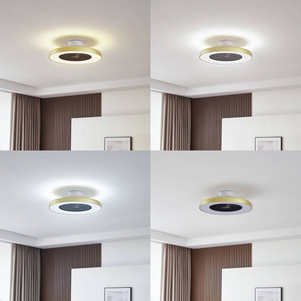 Moderner goldfarbener Deckenventilator mit LED-Beleuchtung, zeigt vier verschiedene Farbtemperaturen in einem hellen Raum.