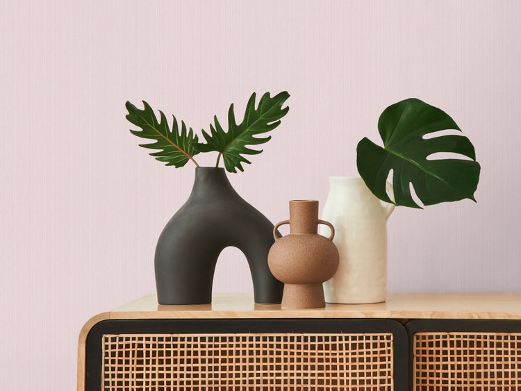 Dekorative Vasen mit Pflanzen auf einem Schrank
