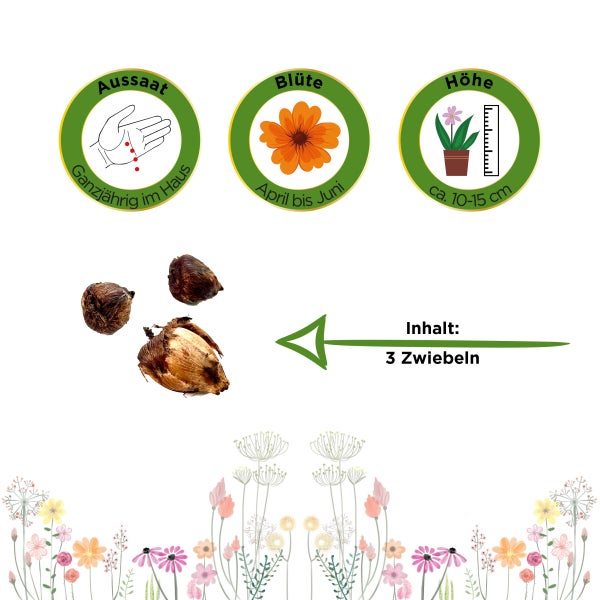 Handbrause mit Maßangaben