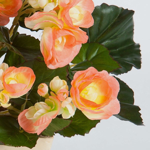 Künstliche Begonie mit pfirsichfarbenen Blüten und dunkelgrünen Blättern.