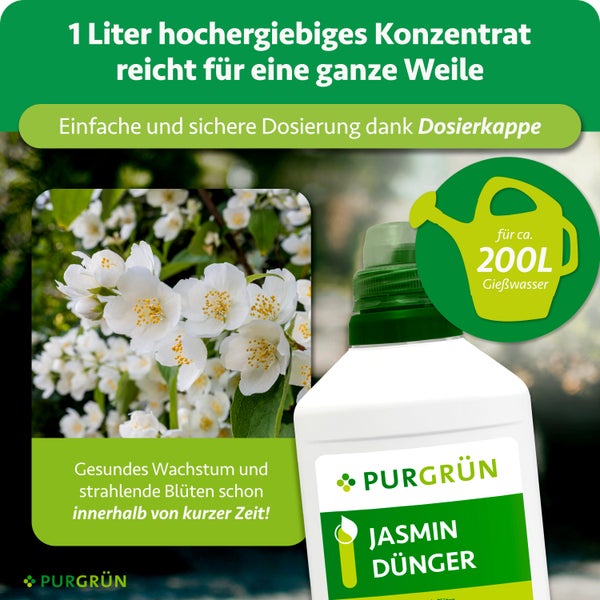 Purgrün Jasmin Dünger, 1 Liter Konzentrat für circa 200 Liter Gießwasser, mit Dosierkappe für gesundes Pflanzenwachstum und Blütenbildung.