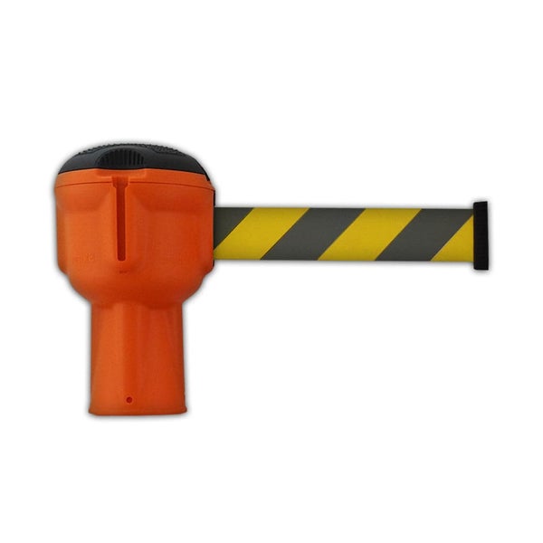 Nahaufnahme von Thuja-Zweigen