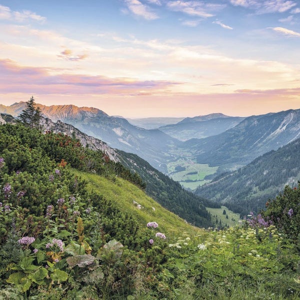 Panorama einer Berglandschaft mit Wiesen und bewaldeten Hängen