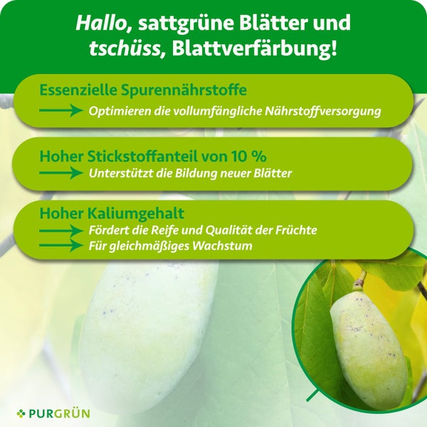 Quadratische und runde Pflanzgefäße aus Cortenstahl in einem hellen Gartencenter mit Bäumen und Sträuchern im Hintergrund.