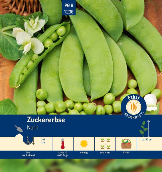 Saatgut für Zuckererbse Norli mit Schoten, Erbsen und Blüten, Anbauhinweisen zur Aussaat, Ernte und Wuchshöhe sowie Pabst Keimkraft Logo.