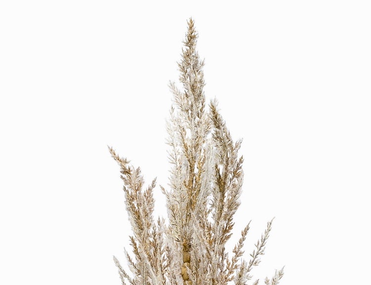 Künstliche Mandarine aus orangefarbenem Kunststoff zur Dekoration.