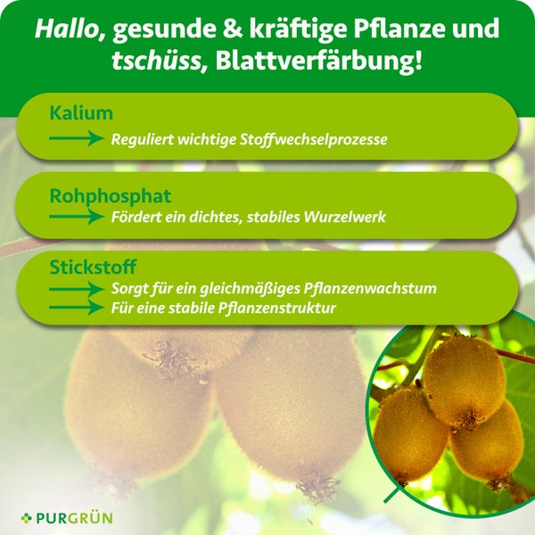 Purgrün Bio Flüssigdünger für Kiwis, 1 Liter Flasche für circa 100 Liter Gießwasser, enthält Kalium und Rohphosphat, hergestellt in Deutschland.