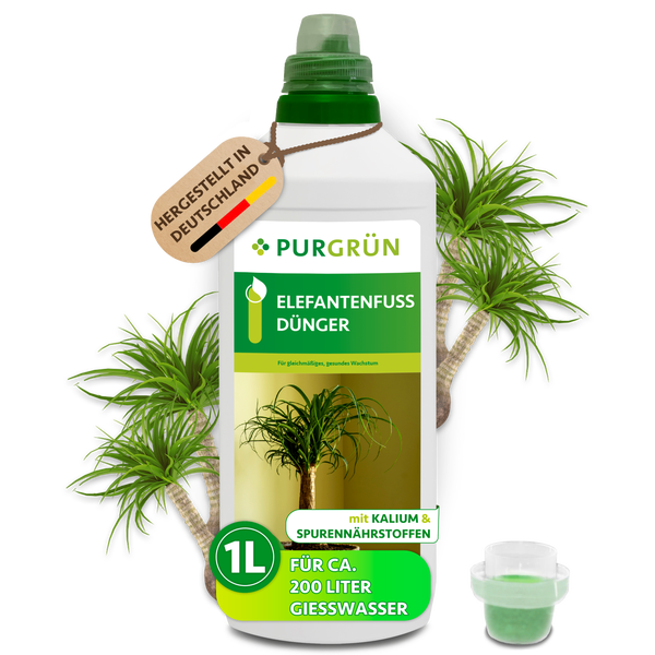 Purgrün Elefantenfuss Dünger 1 Liter Flasche mit Kalium und Spurennährstoffen für gesundes Pflanzenwachstum.