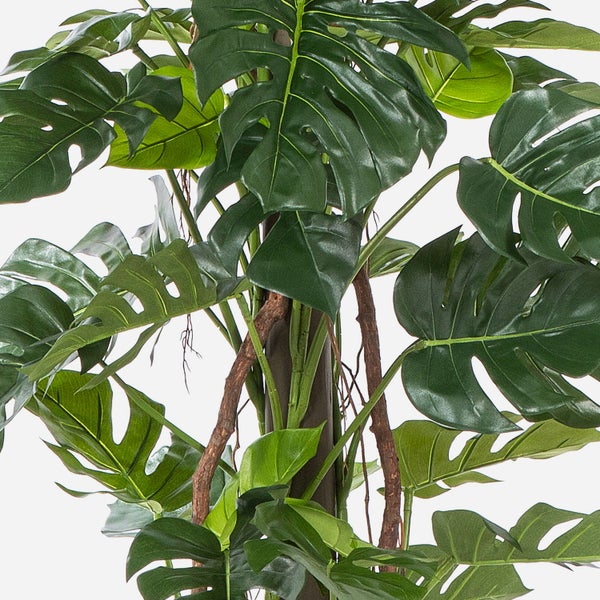 Künstliche Monstera Pflanze mit großen, geschlitzten Blättern und einem braunen Rankstab.