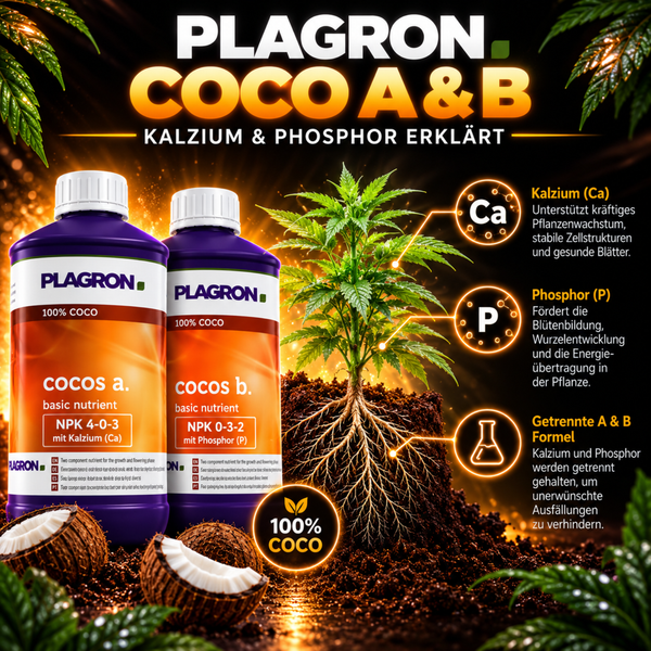 Plagron Cocos A und B Pflanzendünger Set für Kokossubstrat mit Kalzium und Phosphor zur Unterstützung des Pflanzenwachstums und der Blütenbildung.