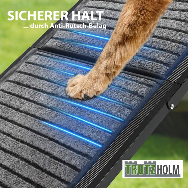Hundepfote auf einer Rampe mit geriffeltem Antirutschbelag für sicheren Halt, Trutzholm Logo.