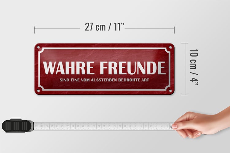 Blechschild Spruch 27x10cm wahre Freunde Dekoration
