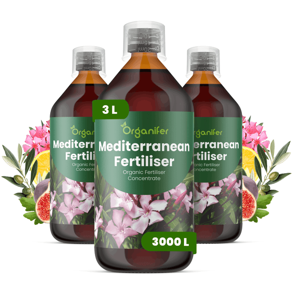 Organifer Mediterraner Dünger Konzentrat, Set mit 3 Litern für circa 3000 Liter Gießwasser, geeignet für Oliven, Zitruspflanzen und Feigen.