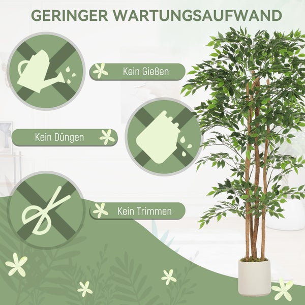 Symbolbild: geringer Wartungsaufwand einer Zimmerpflanze, kein Gießen, kein Düngen, kein Trimmen.