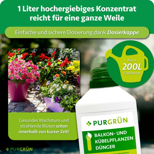 Eine Flasche Purgrün Balkon- und Kübelpflanzendünger Konzentrat mit Dosierkappe für bis zu 200 Liter Gießwasser für kräftiges Pflanzenwachstum.