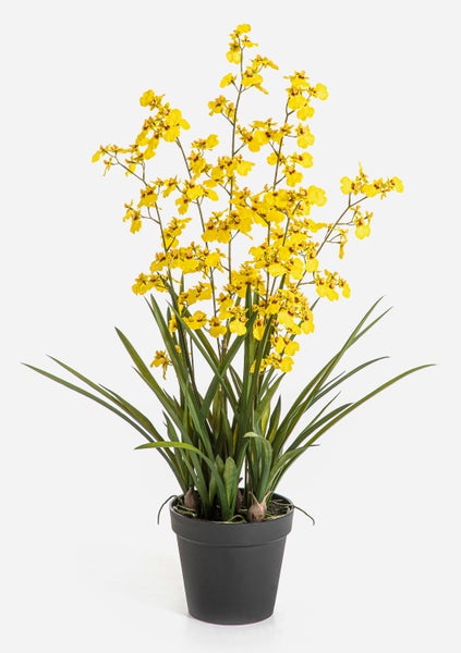 Künstliche Orchidee Phalaenopsis mit weißen Blüten.