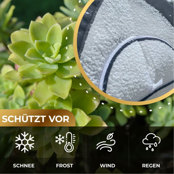 Überwinterungszelt ICEDOME ThermoPLUS Deluxe L 120 x B 120 x H 183 cm