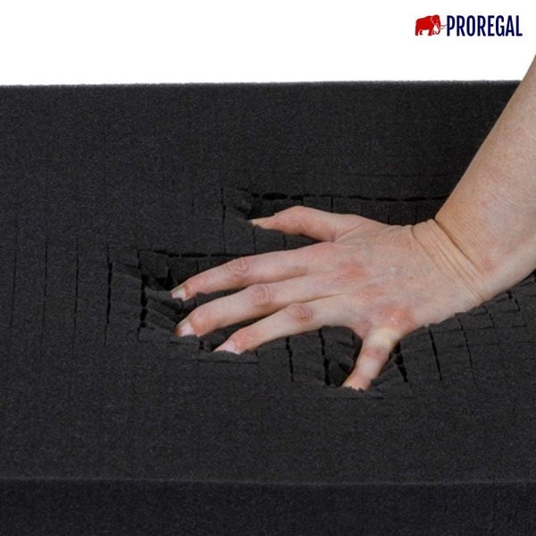 PROREGAL Eurobox NextGen Portable Mit Rasterschaumstoff und Schaumstoffeinlage HxBxT 23,5 x 40 x 60 cm 44 Liter Eurobehälter Transportbox