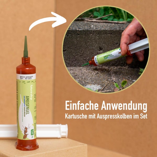 Ameisenködergel + Ameisen Granulat + Leerköderdosen im Set