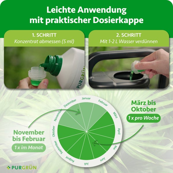 Infografik zur Anwendung von Purgrün Flüssigdünger: 5 Milliliter Konzentrat abmessen und mit 1 bis 2 Liter Wasser verdünnen. Mit Anwendungskalender. Purgrün Logo.