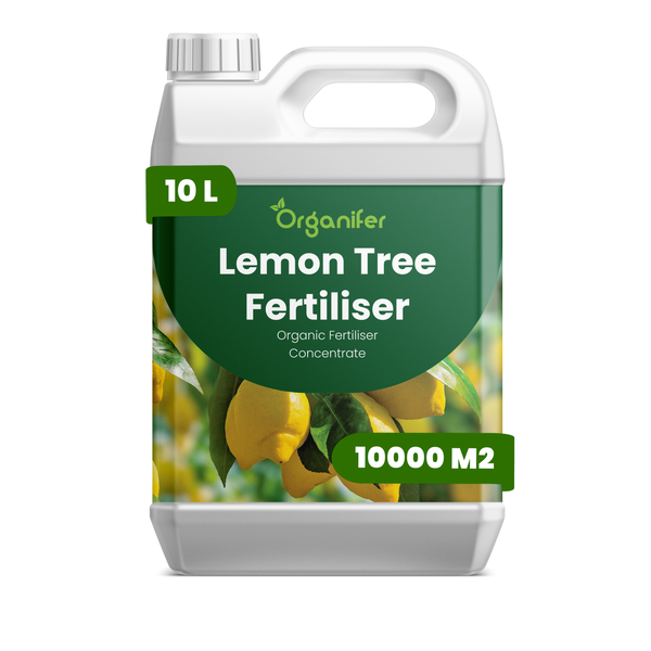 Organifer Zitronenbaumdünger Konzentrat 10 Liter für bis zu 10000 Quadratmeter.