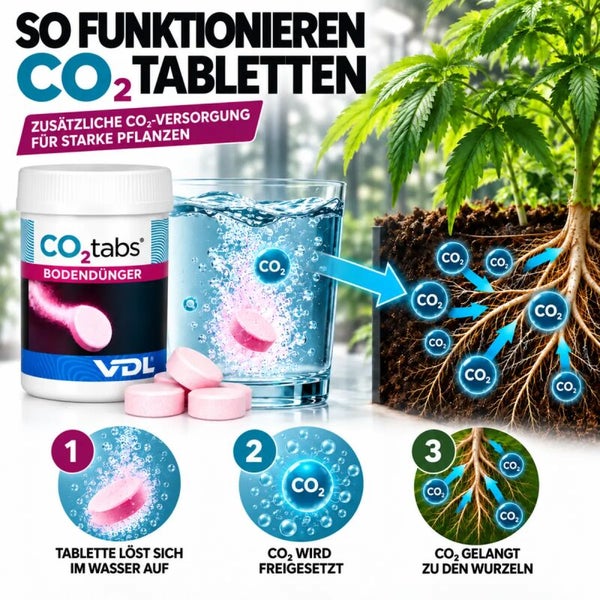 Infografik zur Anwendung von Kohlendioxid Tabletten als Bodendünger für Pflanzen mit Schritt für Schritt Erklärung der Wirkungsweise.