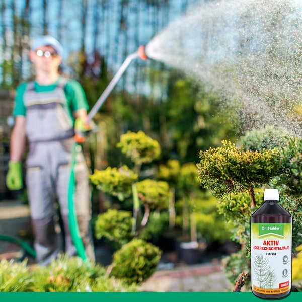 Aktiv Ackerschachtelhalm Extrakt – Flüssiges Pflanzenstärkungsmittel für gesunde Blätter & robuste Pflanzen – Zur Anwendung über Blatt & Boden – Für Garten, Obstbau & Zierpflanzen