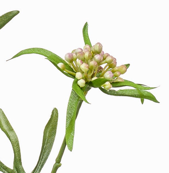 Nahaufnahme einer Kunstpflanze mit braunem Stamm und grünen Blättern.