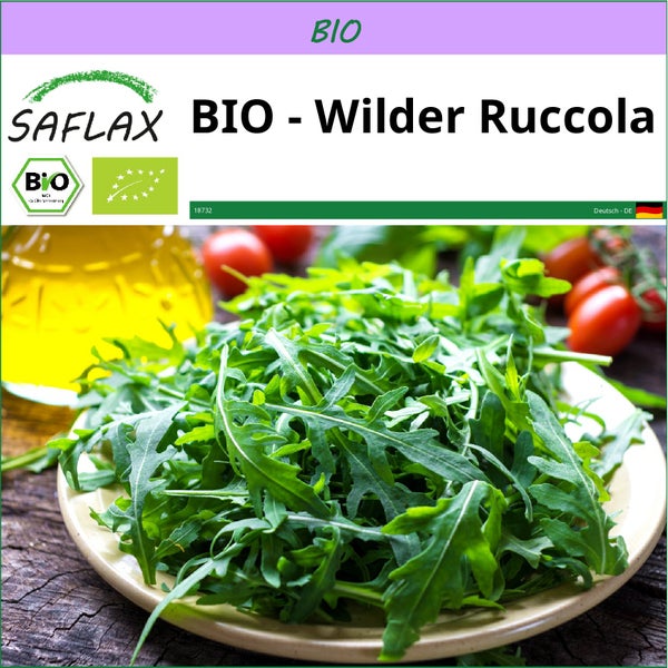 SAFLAX  - BIO - Wilder Ruccola - Diplotaxis tenuifolia - 1500 Samen