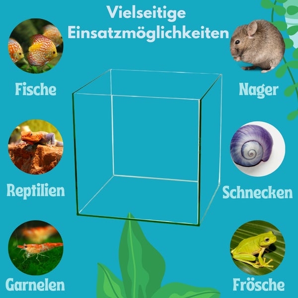 Würfel Aquarium 30x30x30 Becken Glasbecken 30 Glasaquarium Garnelen Aquarium Nano Aquarium Aufzuchtbecken