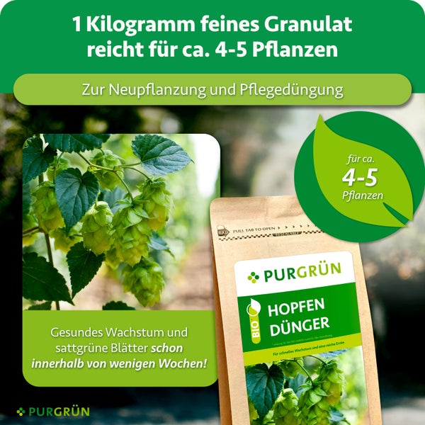 Eine Packung Purgrün Bio Hopfen Dünger in Granulatform für gesundes Wachstum und Ertrag von Hopfenpflanzen.