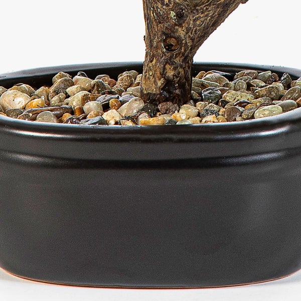 Schwarzer Keramiktopf gefüllt mit kleinen Dekosteinen und dem Ansatz eines Pflanzenstamms.