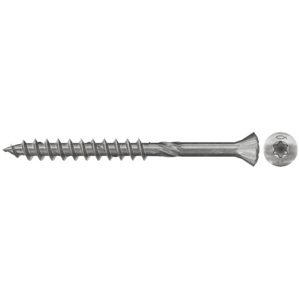 Eine einzelne Schraube mit Torx Antrieb.