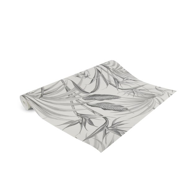 Fliegenkraut Strelitzia Bl�tter Gris