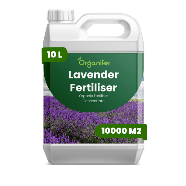 Organifer Lavendeldünger, organisches Düngerkonzentrat, 10 Liter Kanister für 10000 Quadratmeter.