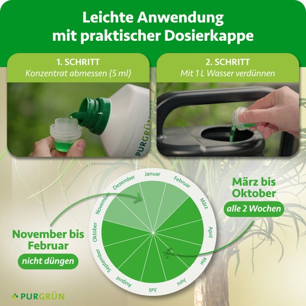 Anwendung von Flüssigdünger: 5 Milliliter abmessen, mit 1 Liter Wasser mischen. Düngezeitraum von März bis Oktober alle zwei Wochen.