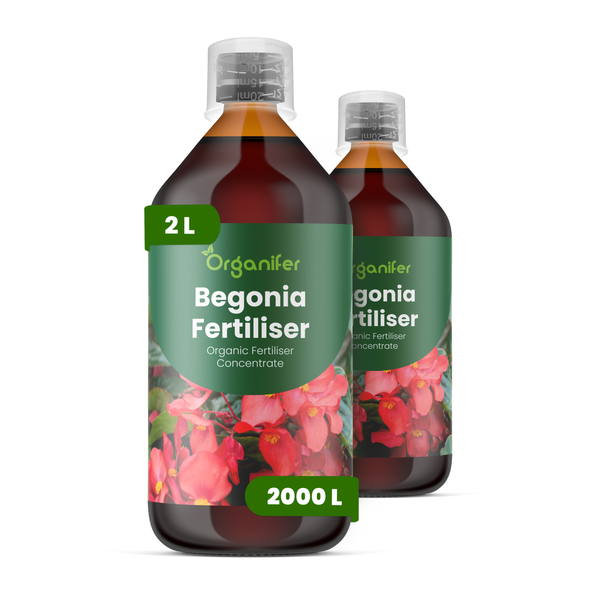 Organifer Begonien-Dünger Konzentrat, 2 Liter Flasche für bis zu 2000 Liter Gießwasser.