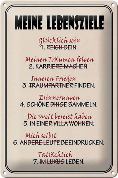 Blechschild Spruch 20x30cm meine Lebensziele glücklich