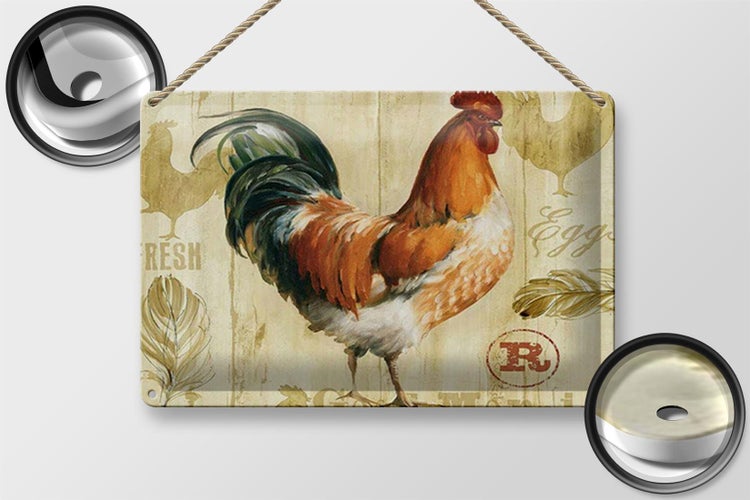 Blechschild Spruch 30x20cm Huhn Hühner Eggs frische Eier