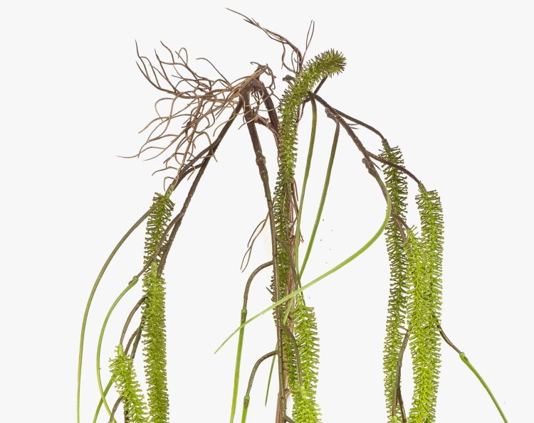 Lila Kunstblume Allium mit rundem Blütenkopf und grünem Stiel.